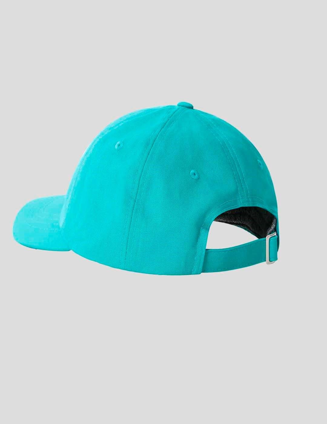 GORRA THE NORTH FACE NORM HAT  PORCELAIN GREEN