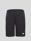 SHORTS THE NORTH FACE STANDARD SHORT LIGHT TNF BLACK