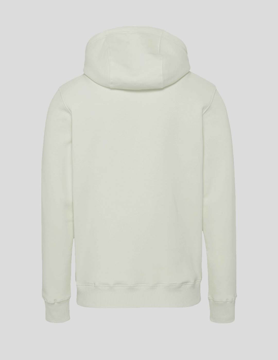 SUDADERA TOMMY JEANS REGULAR SOLID HOODIE   MINTY