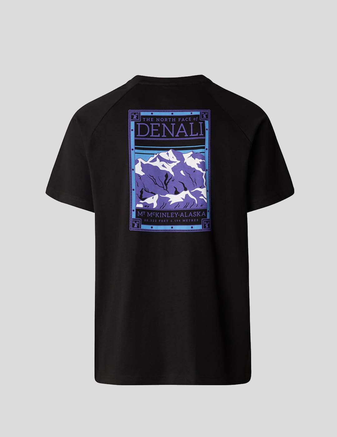 CAMISETA THE NORTH FACE NORTH FACES TEE   TNF BLACK