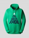 SUDADERA THE NORTH FACE MOUNTAIN PLAY HOODIE  OPTIC EMERALD