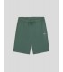 SHORTS DICKIES MAPLETON SHORT DARK FOREST
