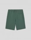 SHORTS DICKIES MAPLETON SHORT  DARK FOREST