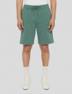 SHORTS DICKIES MAPLETON SHORT  DARK FOREST