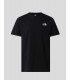 CAMISETA THE NORTH FACE REDBOX CELEBRATION TEE  TNF BLACK