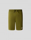 SHORTS THE NORTH FACE STANDARD SHORT LIGHT   FOREST OLIVE