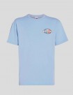 CAMISETA TOMMY JEANS BOARDSPORTS PALM TEE C3S BLUE