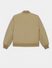 Chaqueta Dickies Plains Bomber Verde