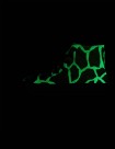 ZAPATILLAS CONVERSE CHUCK 70 HI GLOW IN THE DARK GINGER SNAP-EGRET