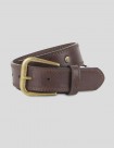 CINTURÓN DICKIES STUDDED BELT  DARK BROWN