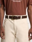 CINTURÓN DICKIES STUDDED BELT  DARK BROWN