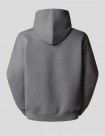 SUDADERA THE NORTH FACE RELAXED PULL ON HOODIE  METALLIC SILVER