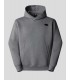 SUDADERA THE NORTH FACE RELAXED PULL ON HOODIE  METALLIC SILVER