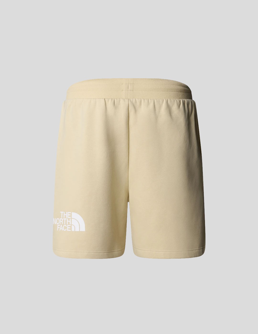 SHORTS THE NORTH FACE EASY REGULAR SHORT  GRAVEL
