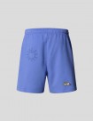 SHORTS THE NORTH FACE MOUNTAIN CLEANUP RELAXED SHORT   VIRTUAL BLUE