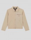 CHAQUETA DICKIES PAINTER CANVAS JACKET  DESERT SAND