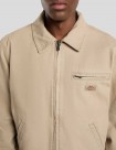 CHAQUETA DICKIES PAINTER CANVAS JACKET  DESERT SAND