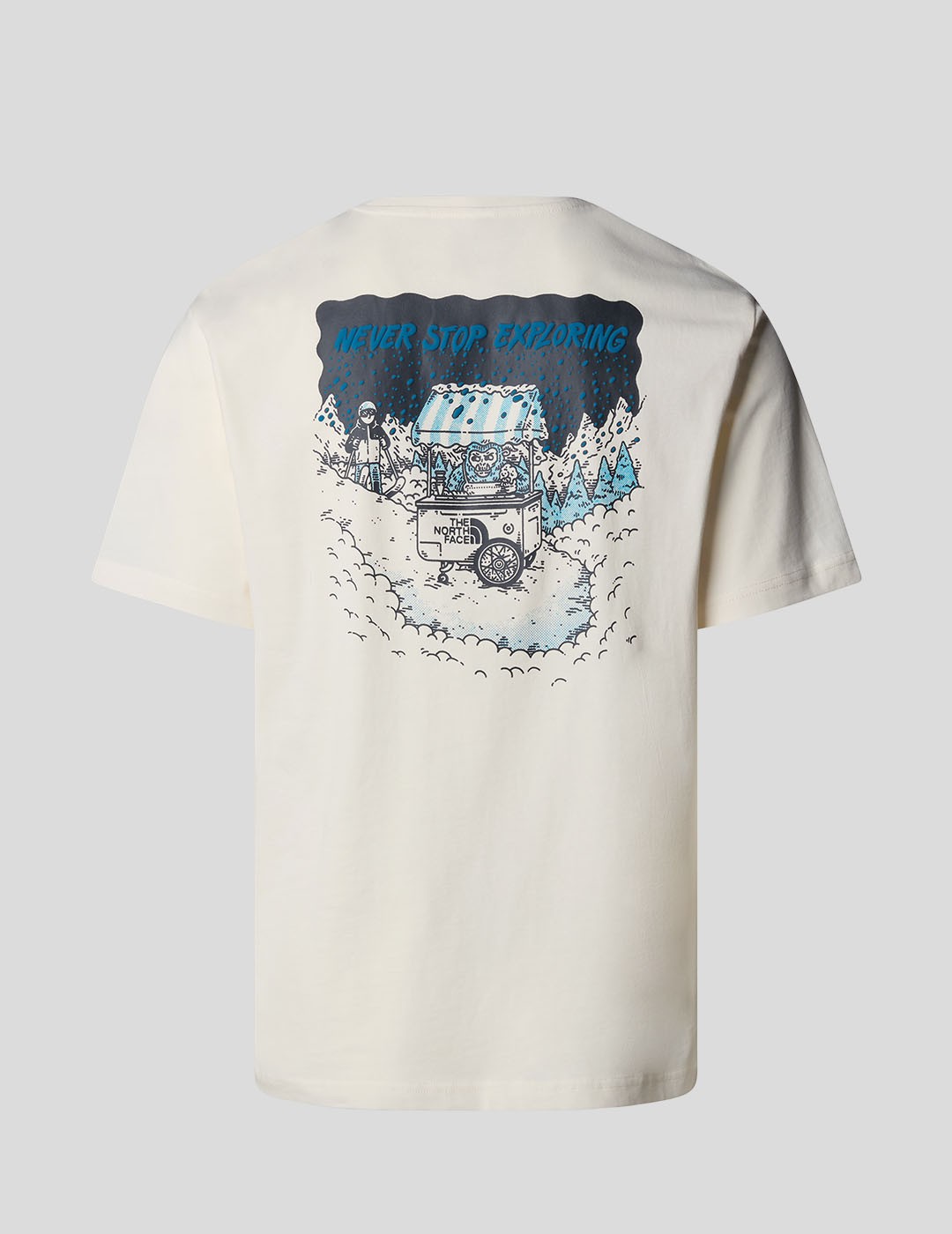 CAMISETA THE NORTH FACE POWDER DAYS RELAXED TEE  WHITE DUNE