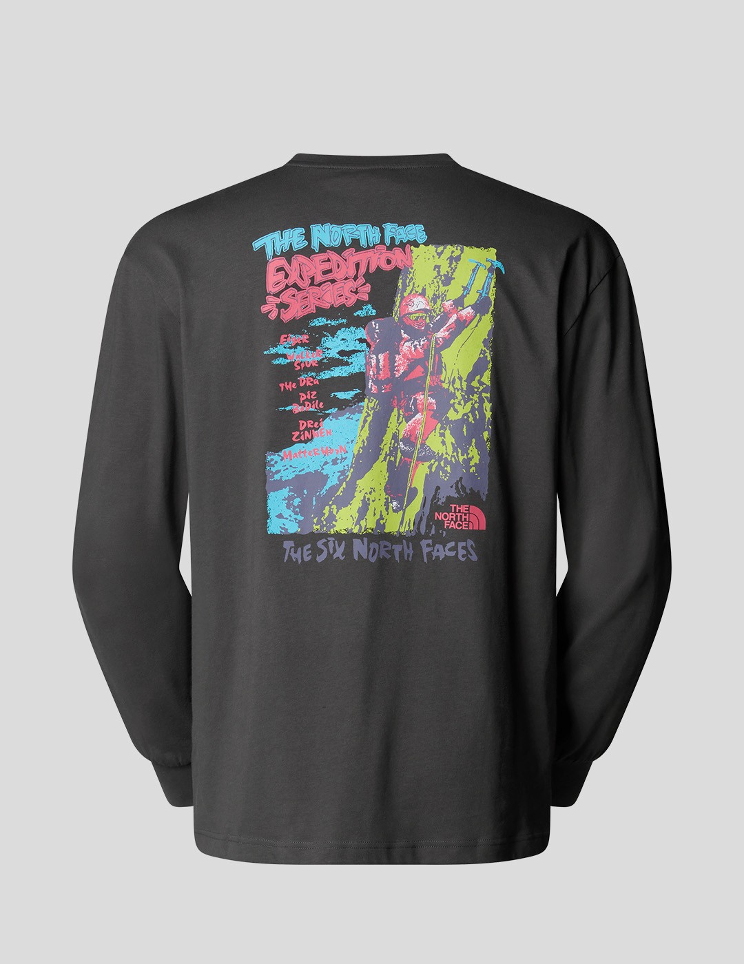 CAMISETA THE NORTH FACE EXPEDITION CELEBRATION LS TEE  ANTHRACITE GREY