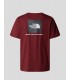 CAMISETA THE NORTH FACE NSE BOX TEE  SUMAC-ASPHALT GREY