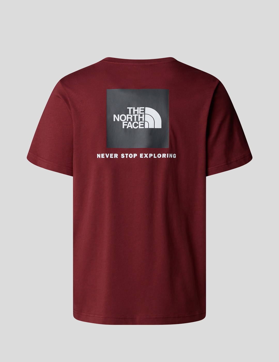 CAMISETA THE NORTH FACE NSE BOX TEE  SUMAC-ASPHALT GREY