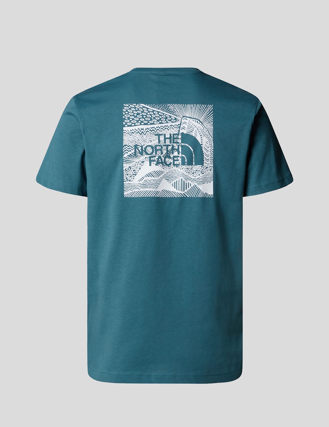 CAMISETA THE NORTH FACE NSE BOX CELEBRATION TEE  SPACE