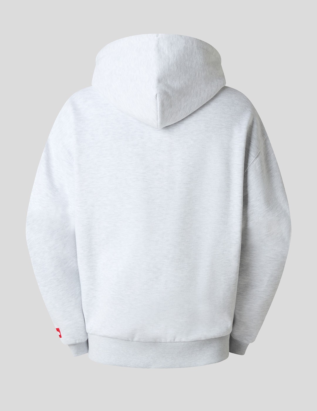 SUDADERA THE NORTH FACE RED BOX HOODIE  CLASSIC GREY 