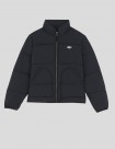 CAZADORA DICKIES SUMMERDALE PUFFER JACKET  BLACK 