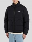 CAZADORA DICKIES SUMMERDALE PUFFER JACKET  BLACK 