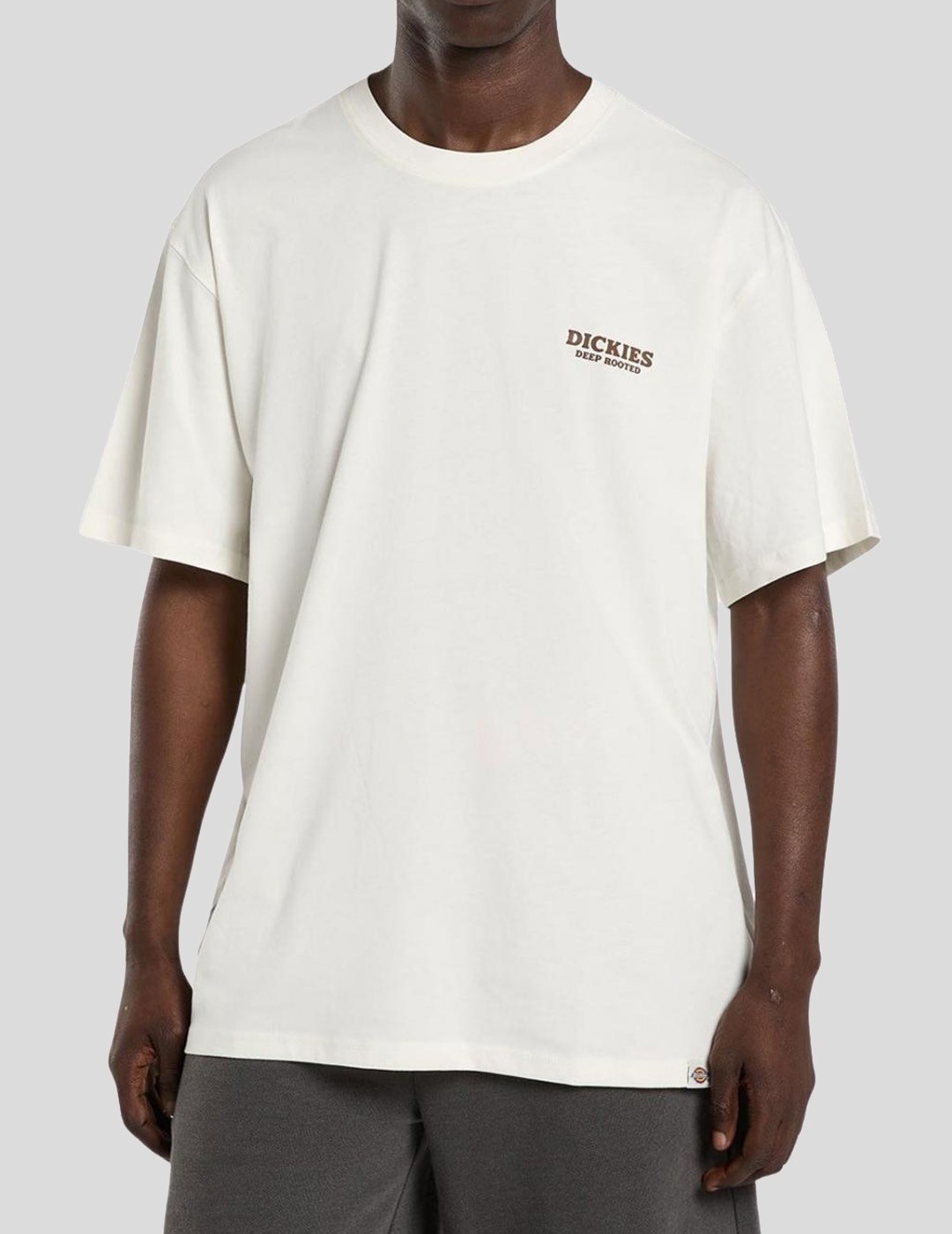 CAMISETA DICKIES SUNFLOWER TEE   EGRET 