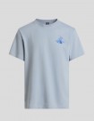 CAMISETA THE NORTH FACE MOUNTAIN CELEBRATION TEE   FROST GREY