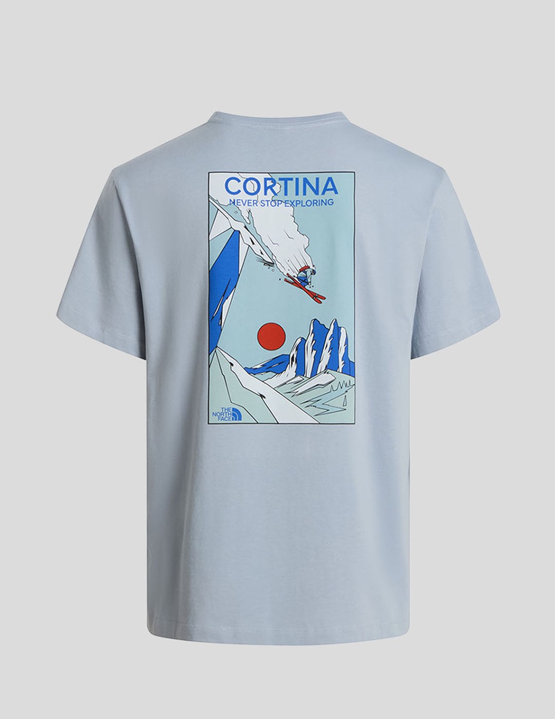 CAMISETA THE NORTH FACE MOUNTAIN CELEBRATION TEE   FROST GREY