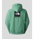 SUDADERA THE NORTH FACE RAGLAN BOX NSE HOODIE  DIMMED ALGAE