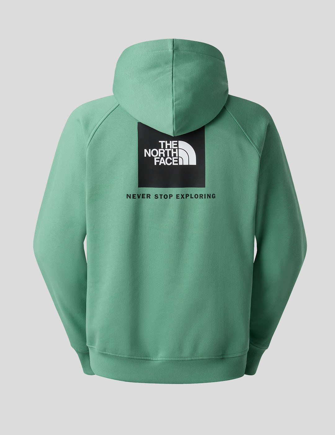SUDADERA THE NORTH FACE RAGLAN BOX NSE HOODIE  DIMMED ALGAE