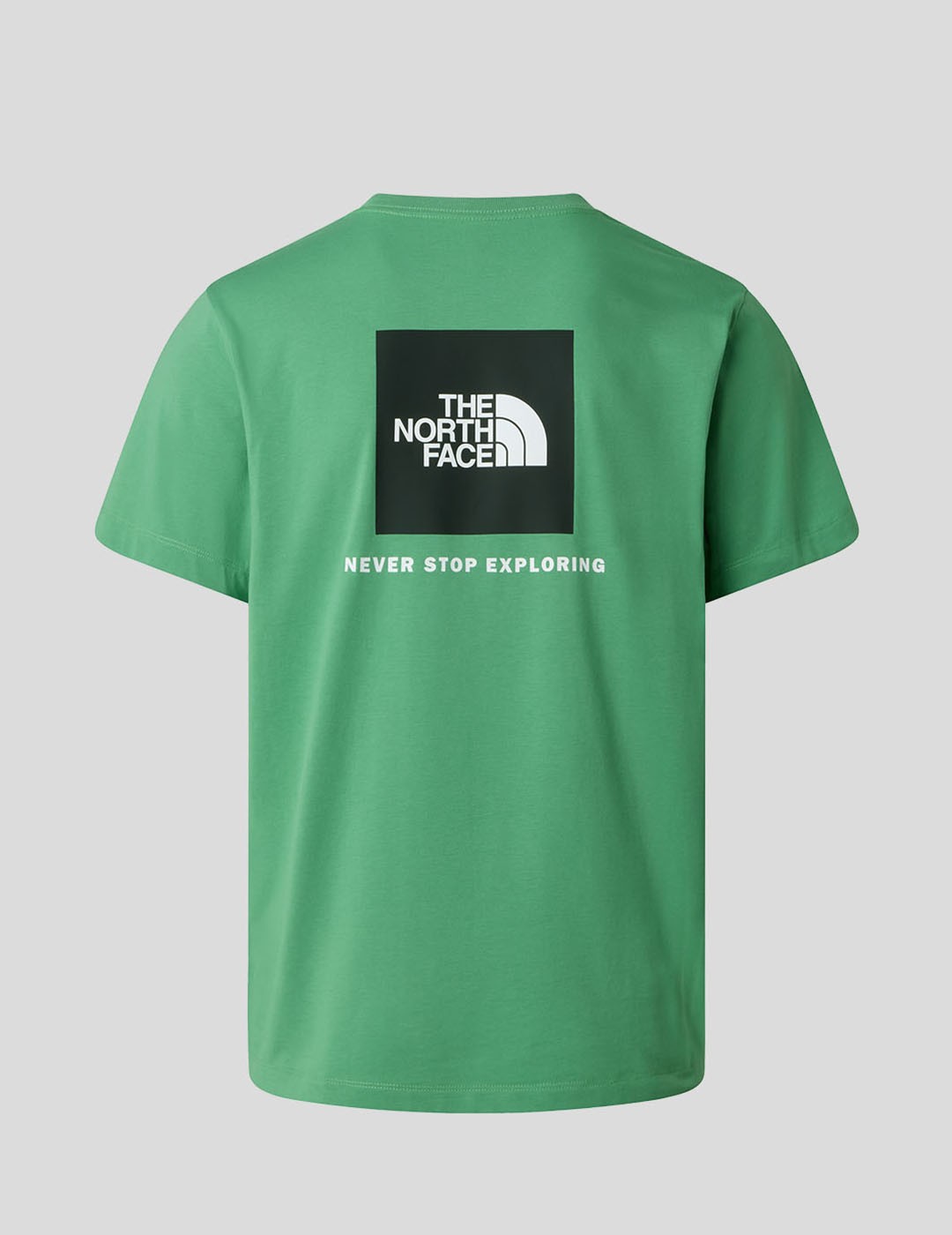 CAMISETA THE NORTH FACE EVOLUTION BOX NSE TEE  DIMMED ALGAE
