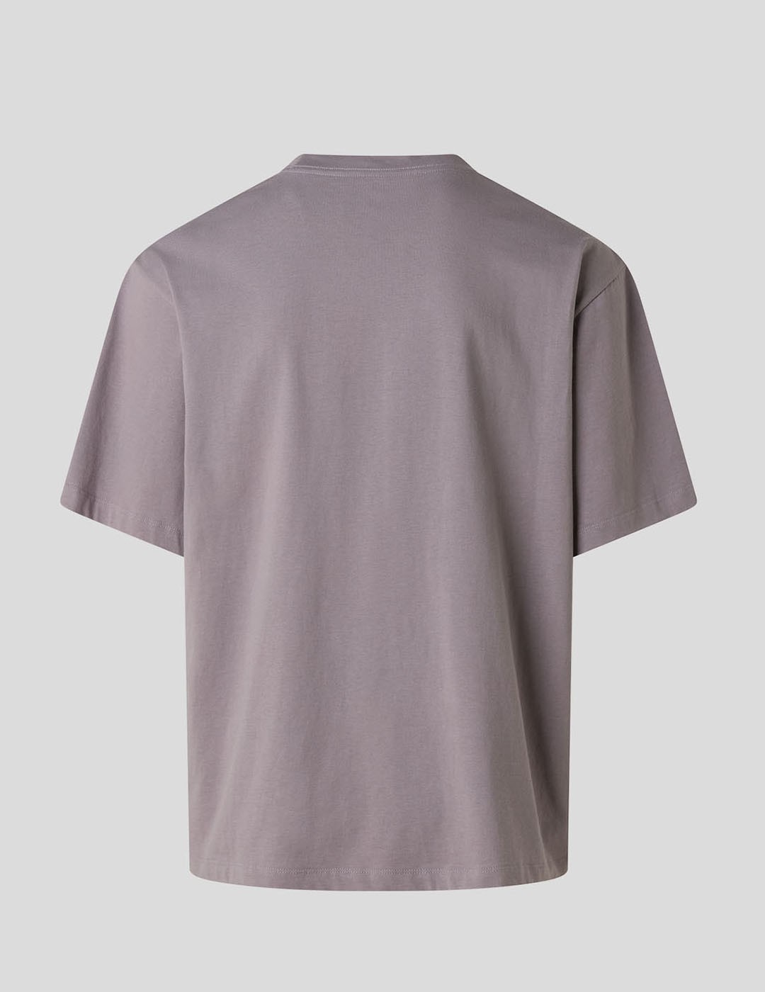 CAMISETA THE NORTH FACE ESSENTIAL SIMPLE DOME TEE   TRANSCENDENT GREY