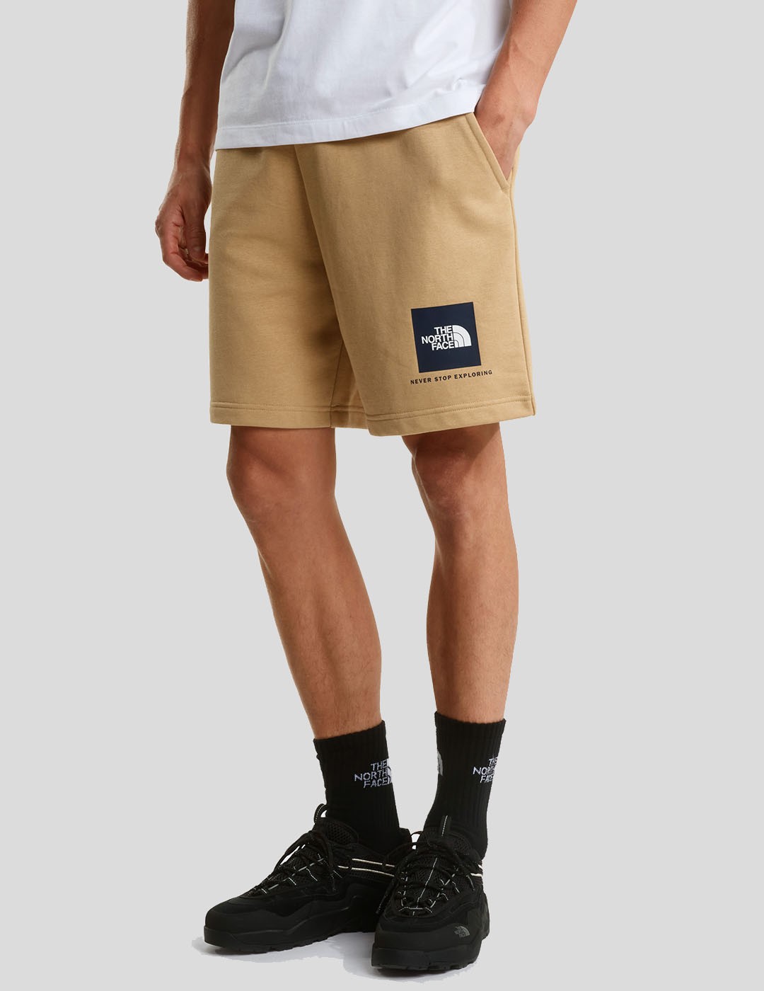 SHORTS THE NORTH FACE NSE BOX LIGHT REGULAR SHORT   KHAKI STONE