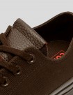 ZAPATILLAS CONVERSE CHUCK 70 OX  FRESH BREW-FRESH BREW