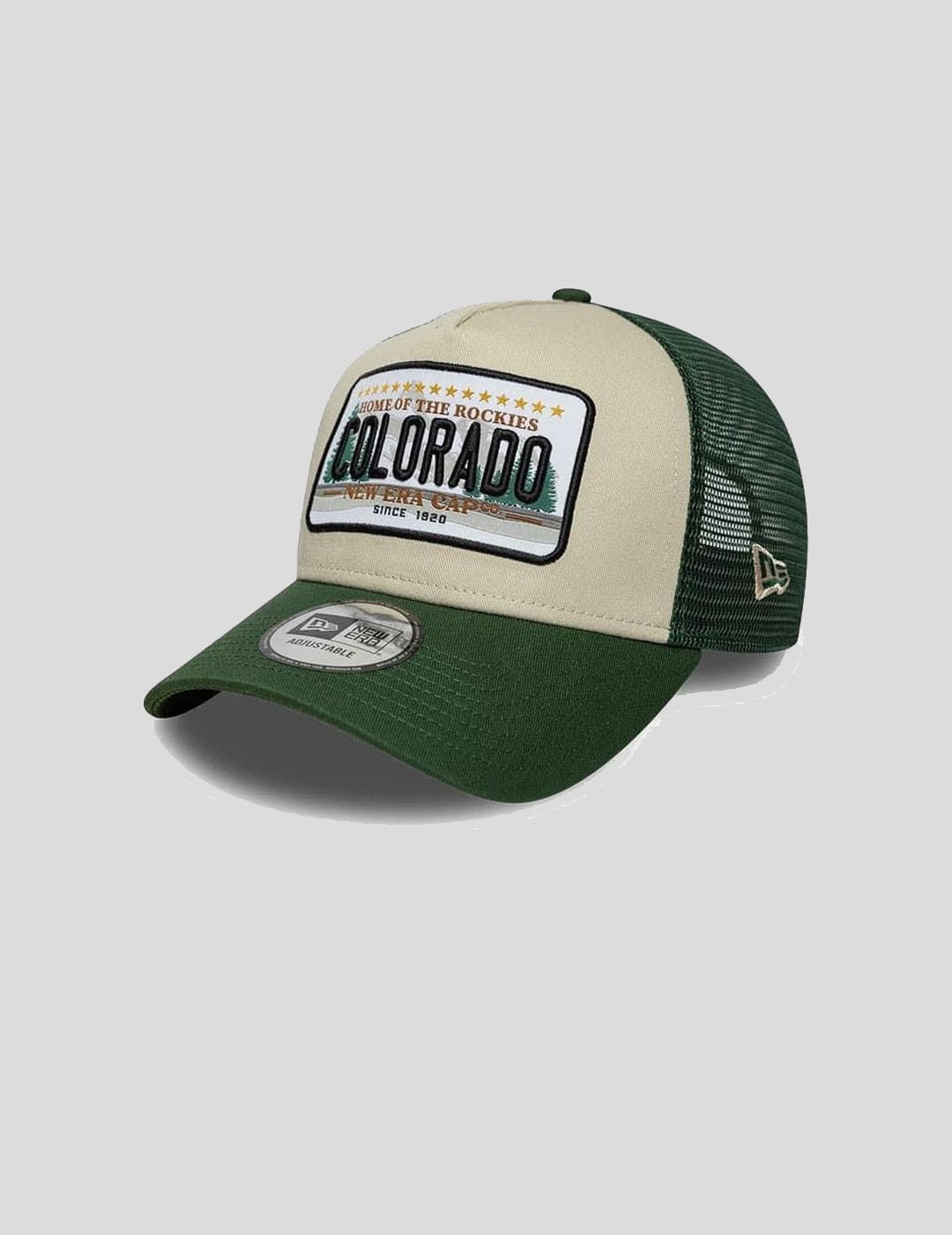 GORRA NEW ERA NE LICENCE PLATE 9 FORTY TRUCKER  GREEN