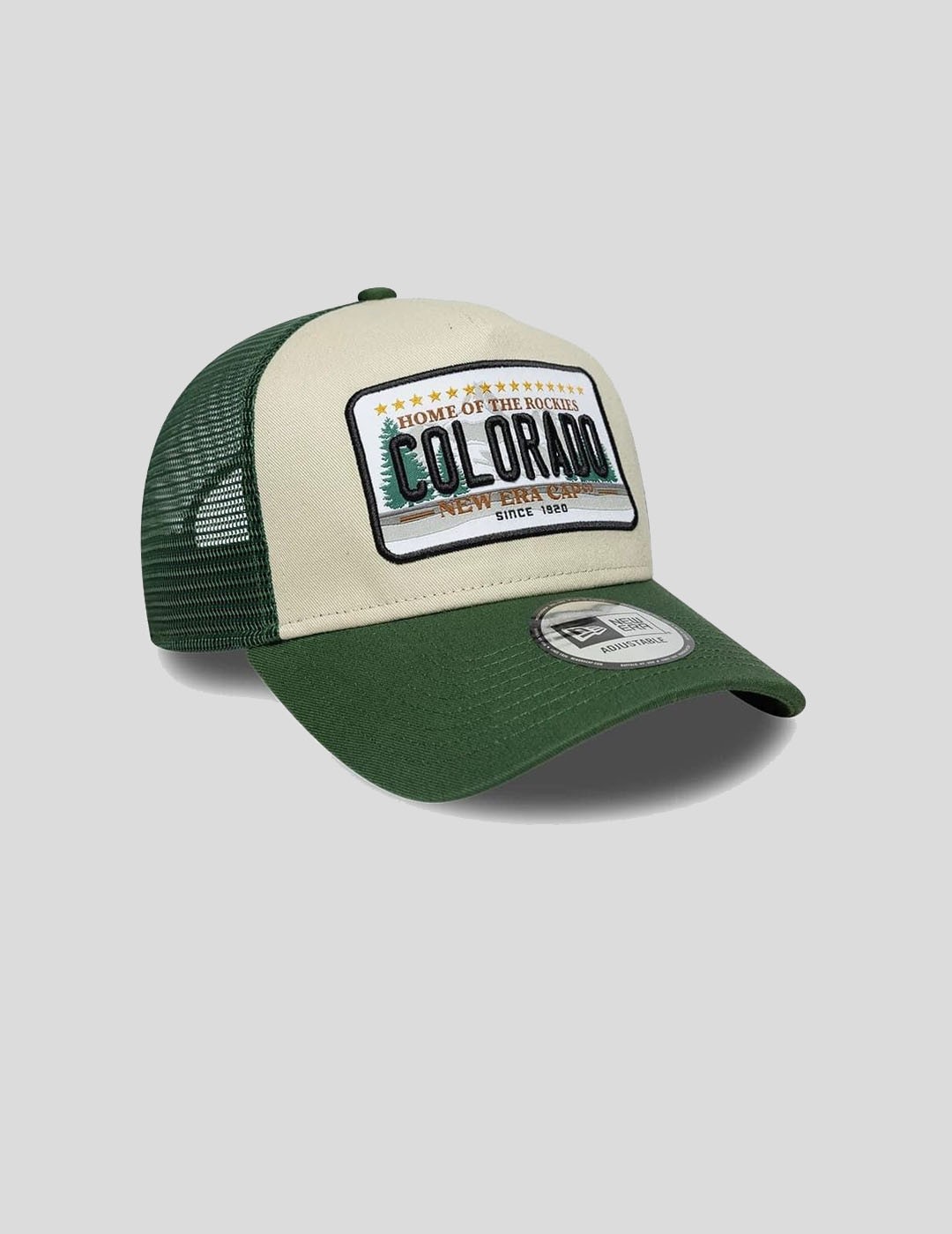 GORRA NEW ERA NE LICENCE PLATE 9 FORTY TRUCKER  GREEN