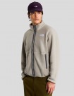 CHAQUETA THE NORTH FACE TNF FLEESKI FULL ZIP JACKET  STONE SLAB